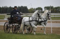 First cups to Karađorđevo horse farm