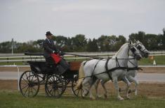 First cups to Karađorđevo horse farm