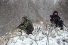 Министар Вулин: Одлична сарадња Војске и МУП на обезбеђењу границе