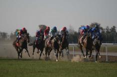 Cavalry tradition returns to the Serbian Armed Forces 