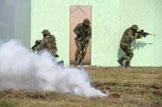 General Rehearsal for the Demonstration “Freedom 2017” at Batajnica Airport