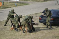 Провера припремљености 5. батаљона Војне полиције за вежбу „Век победника 1918-2018“