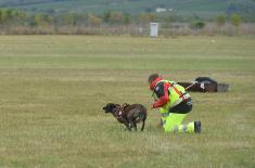 Second Part of Search and Rescue Exercise “SAREX 38-19” Carried Out