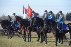 Centenary of "Karađorđevo" stud farm marked