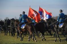 Centenary of "Karađorđevo" stud farm marked