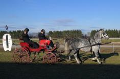 Centenary of "Karađorđevo" stud farm marked