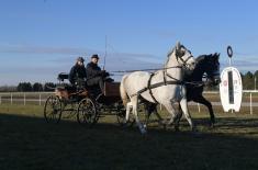 Centenary of "Karađorđevo" stud farm marked