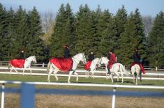 Centenary of "Karađorđevo" stud farm marked