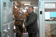 Уношењем бадњака обележен Бадњи дан у Министарству одбране