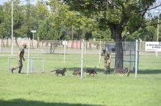 Minister Vulin: The Dog Training Centre is far more developed than in previous years