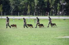 Minister Vulin: The Dog Training Centre is far more developed than in previous years