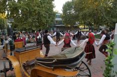   The first Serbian Armed Forces Cup opened in Bačka Palanka