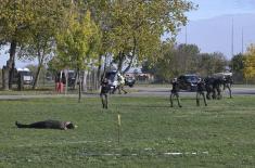 Специјалистичко усавршавање старешина Војне полиције