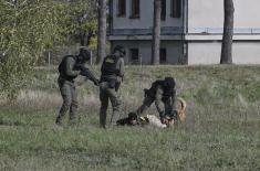 Специјалистичко усавршавање старешина Војне полиције