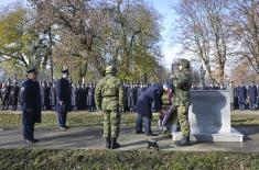 Дан 204. ваздухопловне бригаде