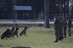 Minister Stefanović visits Dog Training Centre in Niš