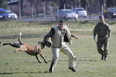 Minister Stefanović visits Dog Training Centre in Niš