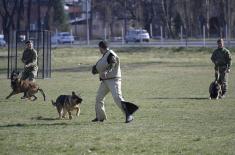 Minister Stefanović visits Dog Training Centre in Niš