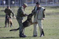 Minister Stefanović visits Dog Training Centre in Niš