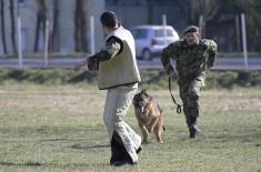 Minister Stefanović visits Dog Training Centre in Niš