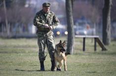 Minister Stefanović visits Dog Training Centre in Niš