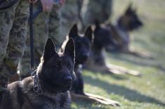 Minister Stefanović visits Dog Training Centre in Niš