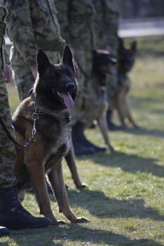 Minister Stefanović visits Dog Training Centre in Niš