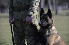 Minister Stefanović visits Dog Training Centre in Niš