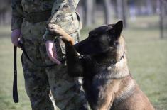 Minister Stefanović visits Dog Training Centre in Niš