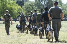 Dog handlers and working dogs in explosives detection training course