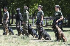 Dog handlers and working dogs in explosives detection training course