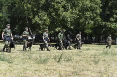 Dog handlers and working dogs in explosives detection training course