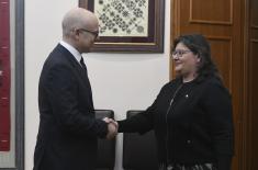 Meeting between Minister of Defence and Romanian Ambassador