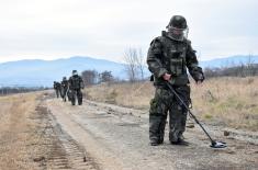 Engineer Training in First Army Brigade