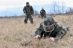 Engineer Training in First Army Brigade