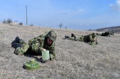 Army engineer units undergo training