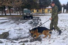 Training for Dog Handlers and Service Dogs in Finding Mine-Explosive Devices