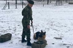 Training for Dog Handlers and Service Dogs in Finding Mine-Explosive Devices