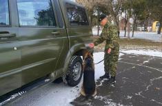 Обука водича и паса за проналажење минско-експлозивних средстава 