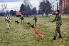 Dog handlers’ training for guard duty
