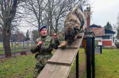 Dog handlers’ training for guard duty