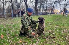 Dog handlers’ training for guard duty