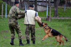 Military policemen undergo counter-terrorism training