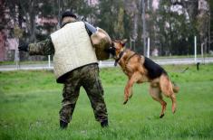 Military policemen undergo counter-terrorism training