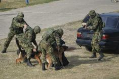 “Century of Victors 1918-2018” military exercise