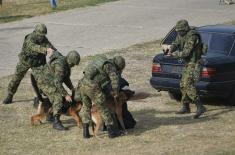 “Century of Victors 1918-2018” military exercise