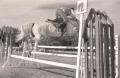 Cavalry units at the hippodrome in 1949