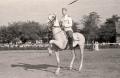 Cavalry units at the hippodrome in 1949