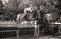 Cavalry units at the hippodrome in 1949