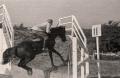 Cavalry units at the hippodrome in 1949